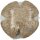 R35-10 Nesteinleger (10er) - ø10cm