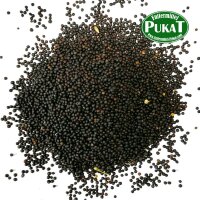 Rübsen 1kg