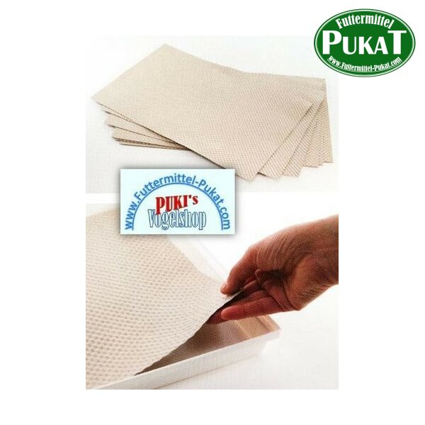 DM Papiereinleger 507x270 - 50 Blatt