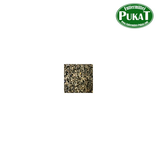 Germix Negersaat (gekeimt) 4kg