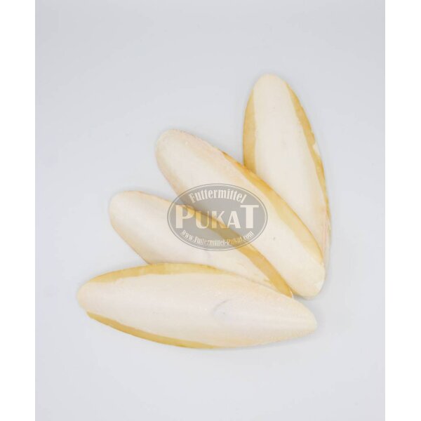 Sepiaschalen groß 6-8" (ca.17-20cm) 1kg