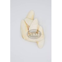 Sepiasschalen Mini (3-4 Stck) - ca.20g gepackt