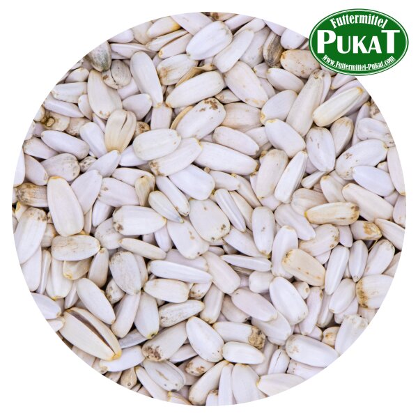 Sonnenblumenkerne weiss 3 kg