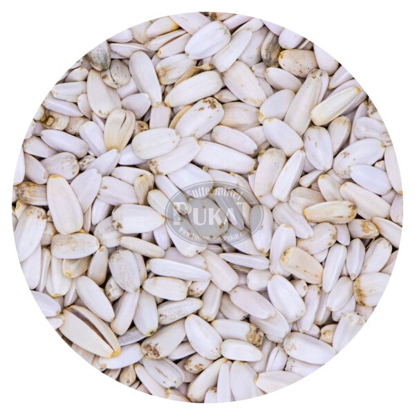 Sonnenblumenkerne weiss 3kg