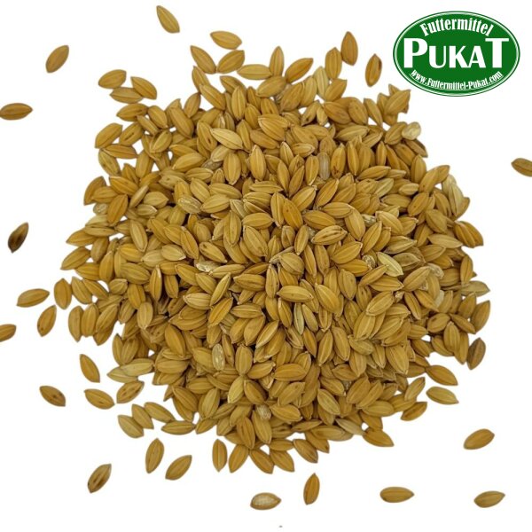 Paddy Reis 1kg