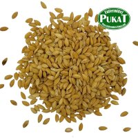 Paddy Reis 1kg