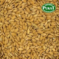 Paddy Reis 1kg