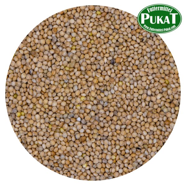 Hirse weiß / Silberhirse 1kg