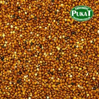 Hirse rot 1kg
