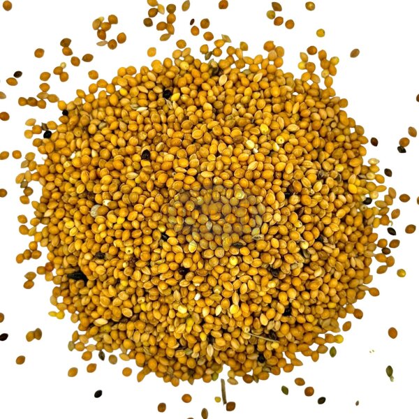 Hirse gelb 1kg - Plata Hirse