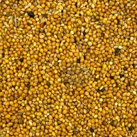 Hirse gelb 1kg - Plata Hirse