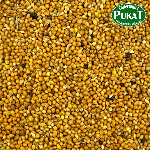 Hirse gelb 5kg