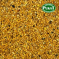 Hirse gelb 5kg