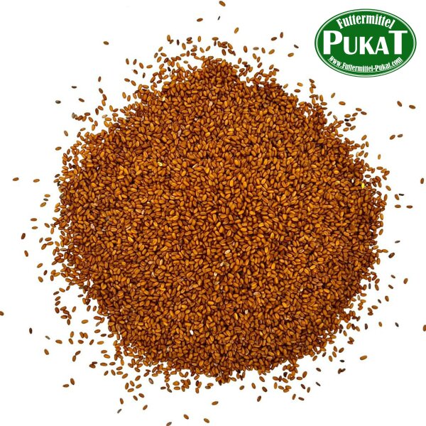 Gold of Pleasure (Leindottersamen) 1kg