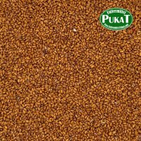 Gold of Pleasure (Leindottersamen) 1kg