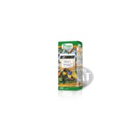 Pineta Betaminor 24ml