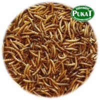 Mehlwürmer getrocknet 250g