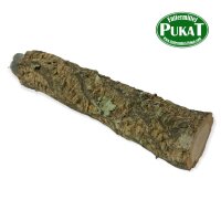 Korkast mit Befestigung 1 Stück