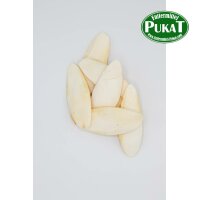 Sepiaschalen klein 12-15cm 6er Pack