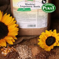 Wachtelgold Legekorn Basis  2,5 kg