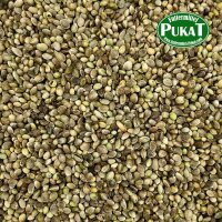 Hanfsaat 500g