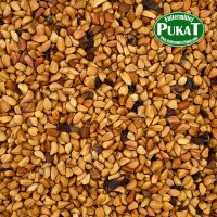 Hagebuttenkerne 400g