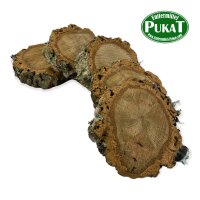 Kork Sitzstämmchen 5er Pack