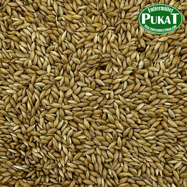 Manitoba Glanzsaat (kanadische Kanariensaat) 400g
