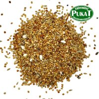 Wellensittich Extra 800g