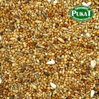 Wellensittich Extra 800g
