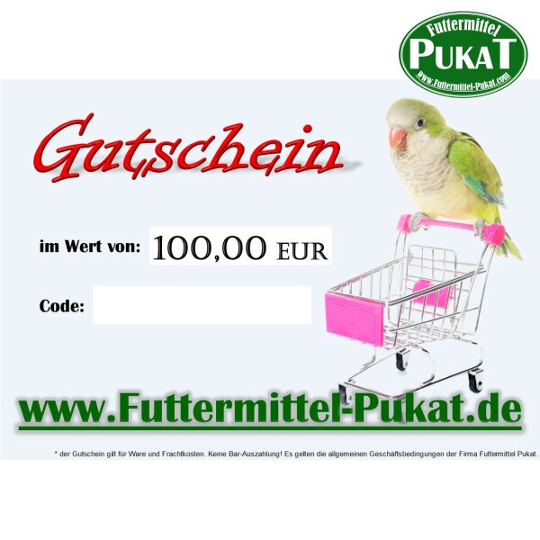 Geschenk Gutschein 100EUR