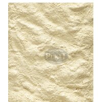 NutriBird A21 Handaufzuchtfutter 250g