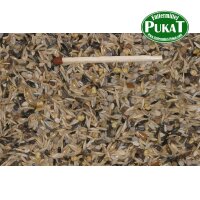 Blattner Zeisig 1 A 15kg