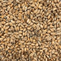 Weizen extra 1kg