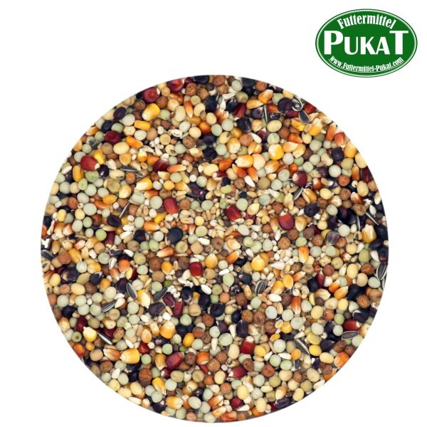 Premium Black Label Master Zucht 20kg