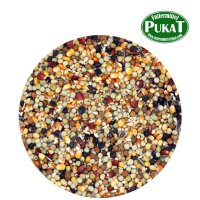 Premium Black Label Master Zucht 20kg