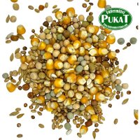 Versele Laga Taubenfutter Classic  4 Jahreszeiten 20kg