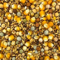 Versele Laga Taubenfutter Classic 4 Jahreszeiten 20kg