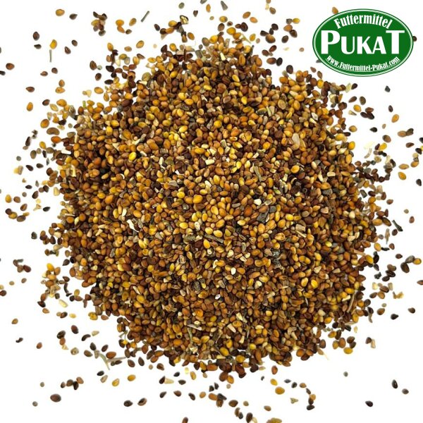 Kleesaat 1kg