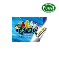 Germix Canary (Keimfutter Kanarien) 1kg
