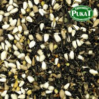 Germix Goldfinch (Keimfutter Stieglitz) 4kg