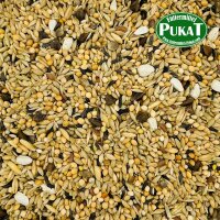 Prestige Großsittiche - Neophemen 1kg