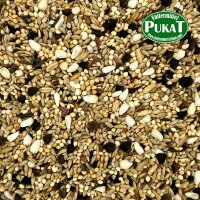 Prestige Großsittiche - Sperlingspapageien 1kg