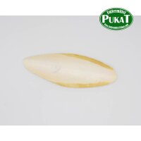 Sepiaschalen groß ca. 18-20cm 4er Pack