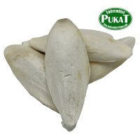 Sepiaschalen groß ca. 18-20cm 4er Pack