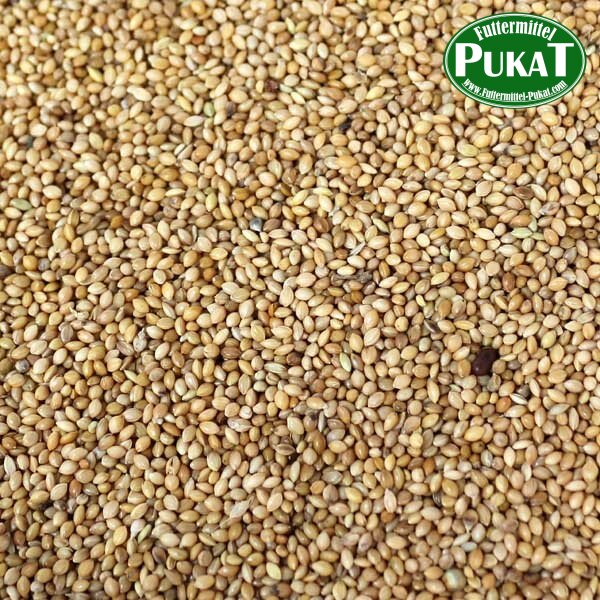 Senegalhirse 1kg