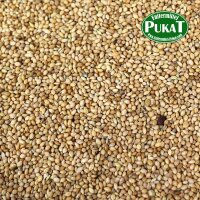 Senegalhirse 1kg
