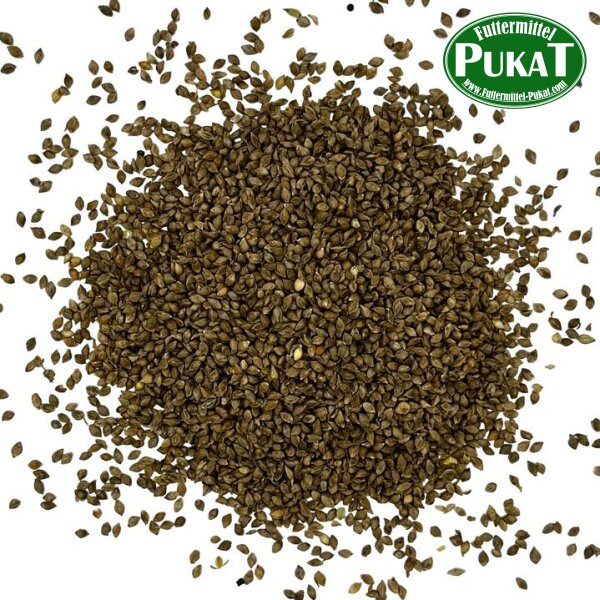 Japanhirse 20kg