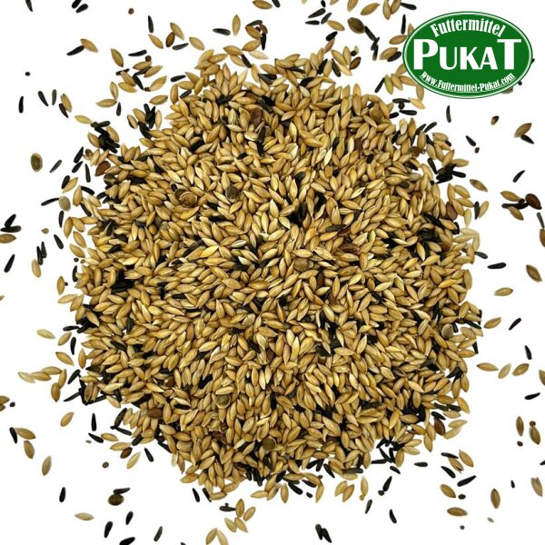Manitoba Kanarienfutter T3 Mischung 20kg
