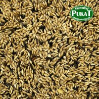 Manitoba Kanarienfutter T3 Mischung 20kg